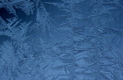 29th Jan 2014 - Frost on the Window 