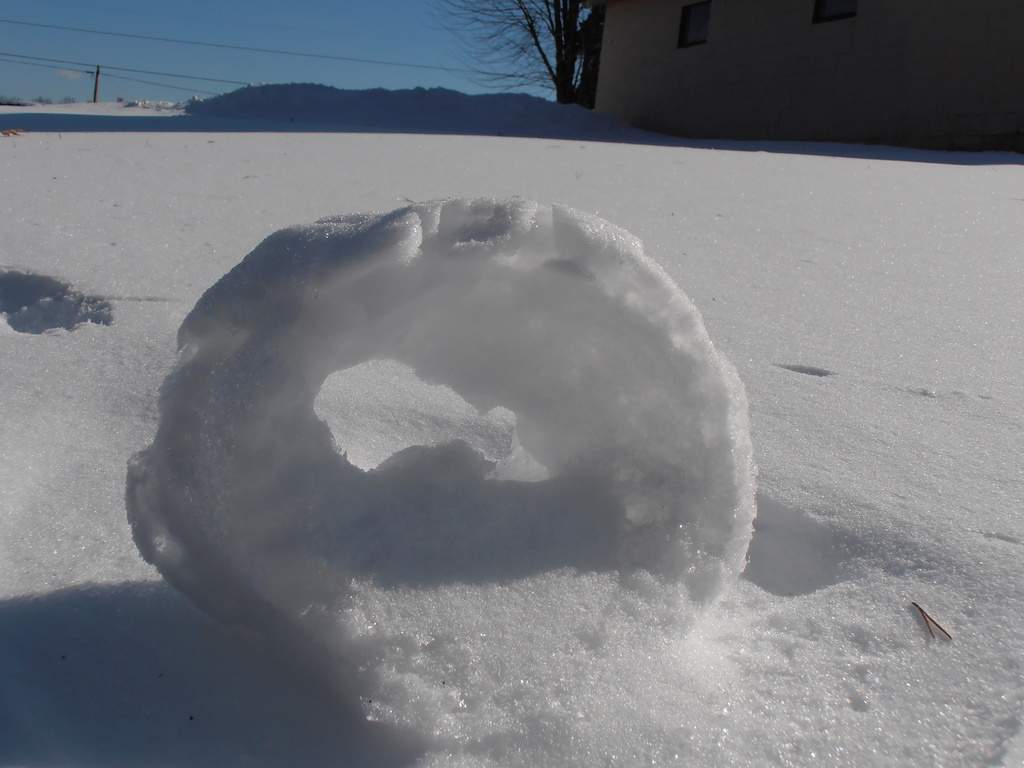 Snow Rollers by julie