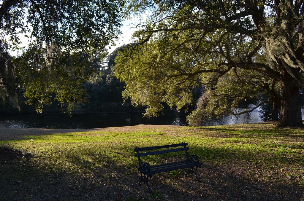 A peaceful place to sit in contemplation at Charles Towne Landing State Historic Site, Charleston, SC by congaree