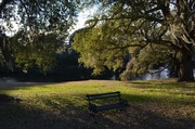 23rd Jan 2014 - A peaceful place to sit in contemplation at Charles Towne Landing State Historic Site, Charleston, SC