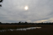 28th Jan 2014 - Creek and marsh scene, Charles Towne Landing State Historic Site, Charleston, SC
