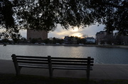 29th Jan 2014 - Colonial Lake, Charleston, SC