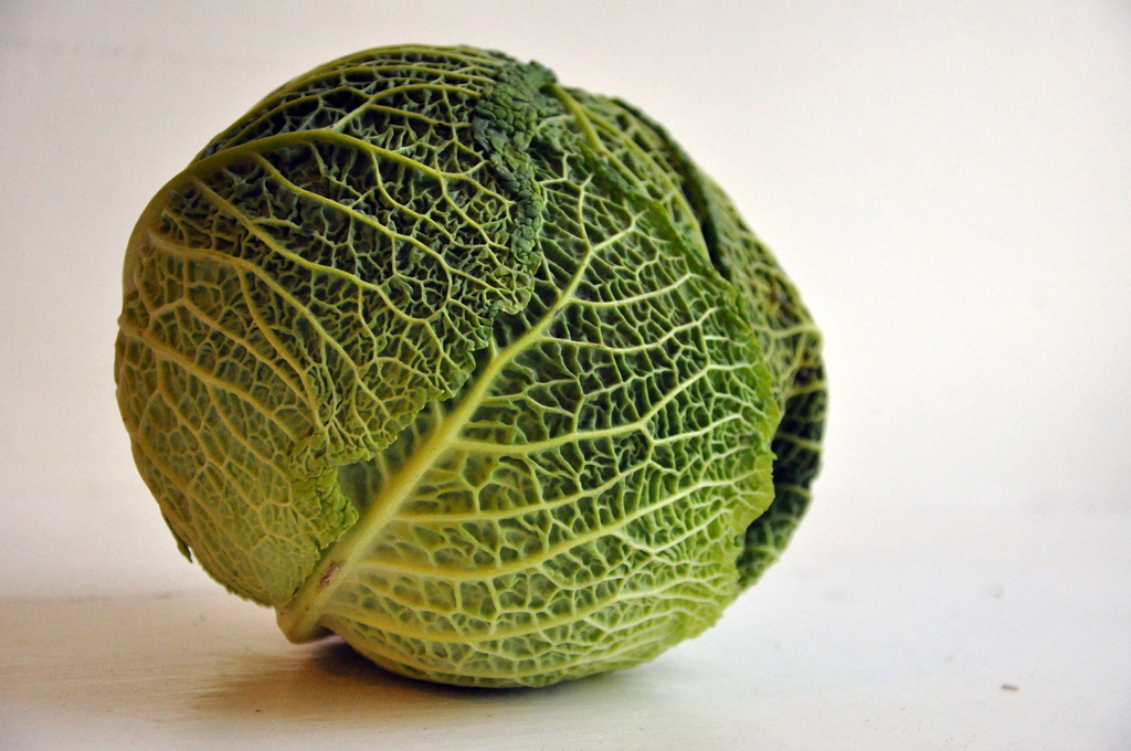 British savoy cabbage by overalvandaan