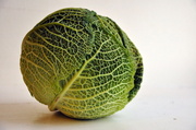 30th Jan 2014 - British savoy cabbage