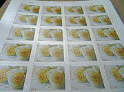 30th Jan 2014 - Day 240 Stamps
