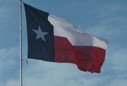 30th Jan 2014 - Texas Wind