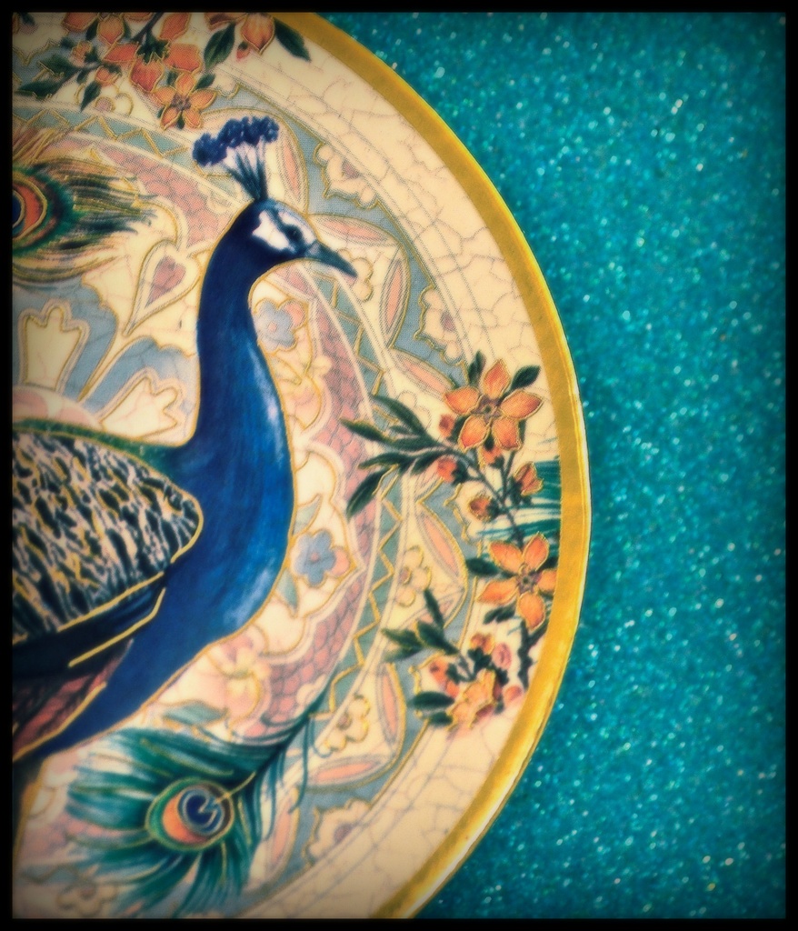 Peacock by joysfocus