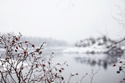 30th Jan 2014 - Columbia River in winter
