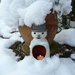 Jumpin-for-january word- winter.   Frosty the  snowman by wendyfrost