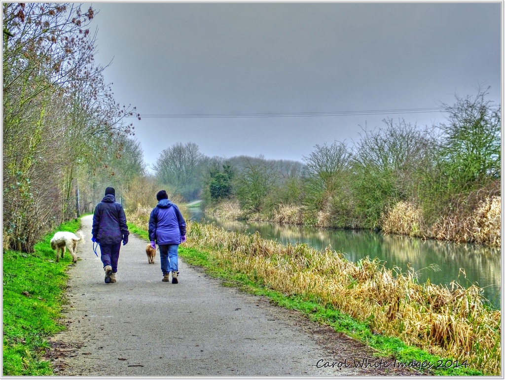 Dogwalkers By The Canal by carolmw