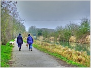 31st Jan 2014 - Dogwalkers By The Canal