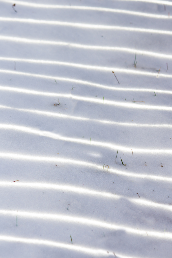 Snow Waves by rayas