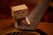 31st Jan 2014 - Danbo Wants to be Christopher Parkening 2