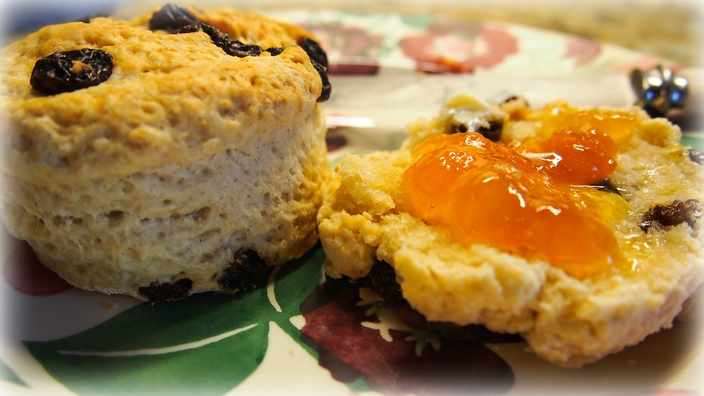 A home made scone by happypat