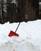 1st Feb 2014 - I'm too little to shovel snow!