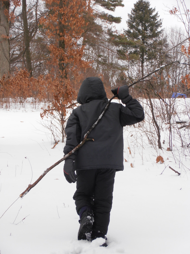 Walk in the snow by julie