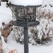 Snowy Birdfeeder by harbie
