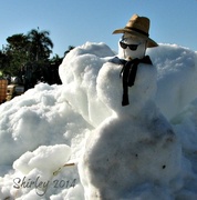 31st Jan 2014 - Frosty the snowman.....