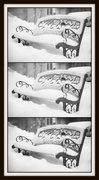 1st Feb 2014 - Snowy Bench in Black & White for BW BookClub