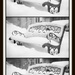 Snowy Bench in Black & White for BW BookClub by taffy
