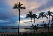 1st Feb 2014 - Blue Hawaii