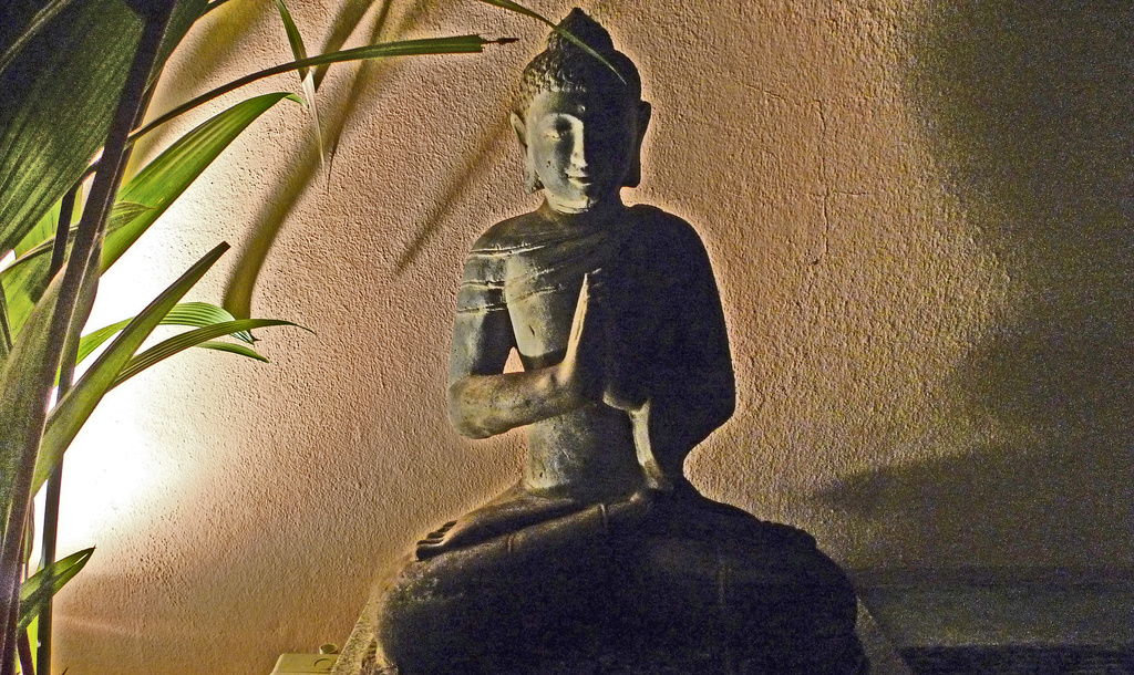 Garden Buddha by ianjb21