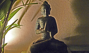 2nd Feb 2014 - Garden Buddha