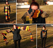 2nd Feb 2014 - Long scarf