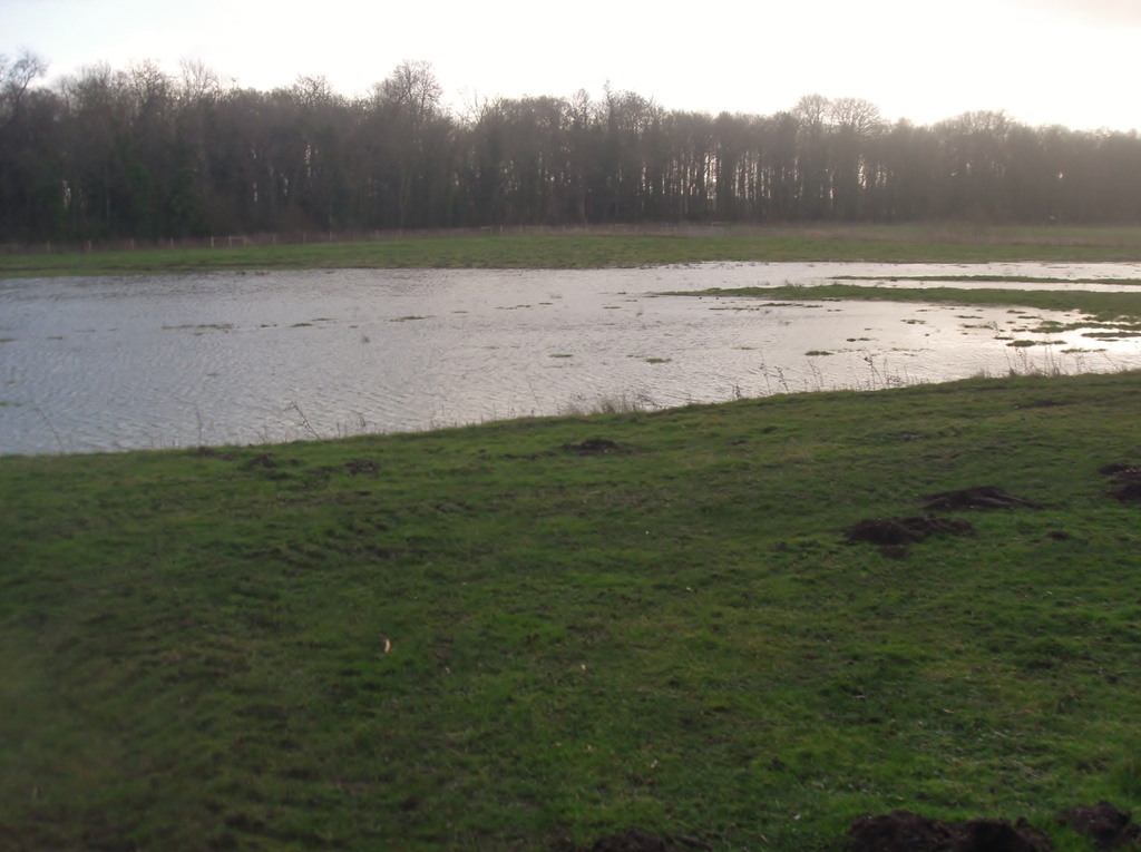 Lake appears in a field by motorsports
