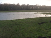 9th Feb 2014 - Lake appears in a field