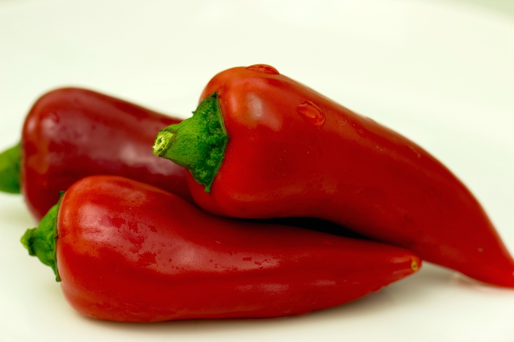 Red chilli by bizziebeeme