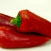 Red chilli by bizziebeeme