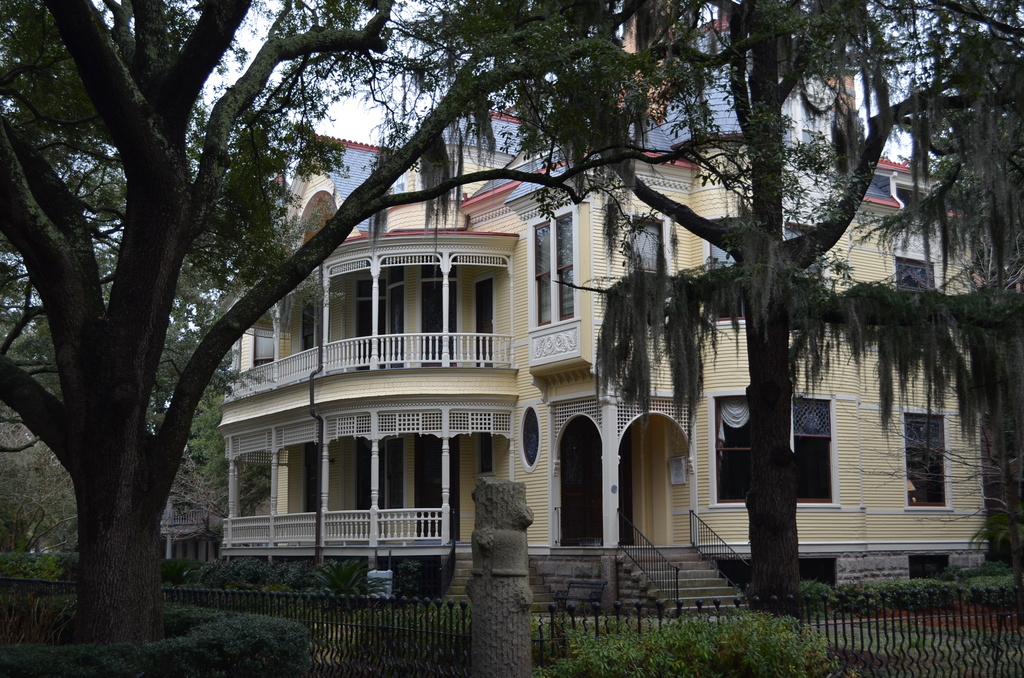 College of Charleston campus by congaree