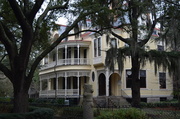 31st Jan 2014 - College of Charleston campus