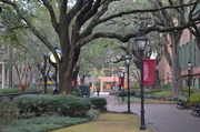 1st Feb 2014 - College of Charleston campus