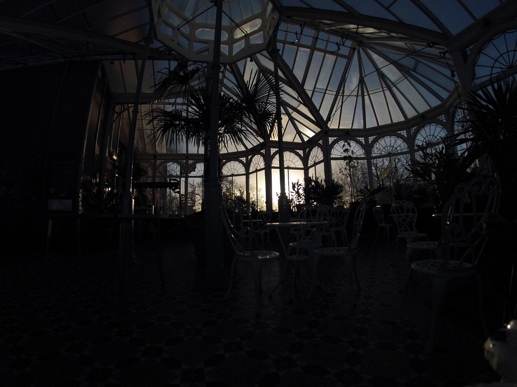 Preston Park Victorian Winter Garden by natsnell