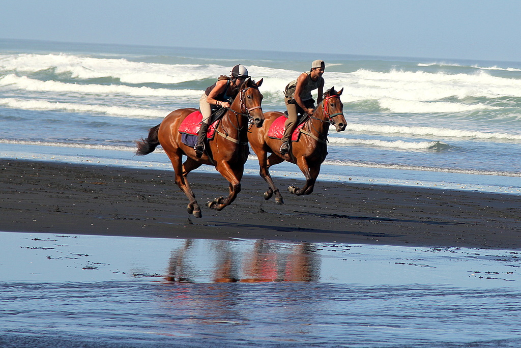 Beach race by rustymonkey