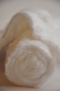 3rd Feb 2014 - Cotton wool roll