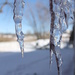 Melting icicles by harbie