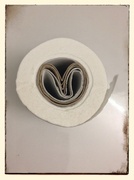 4th Feb 2014 - Toilet heart-roll