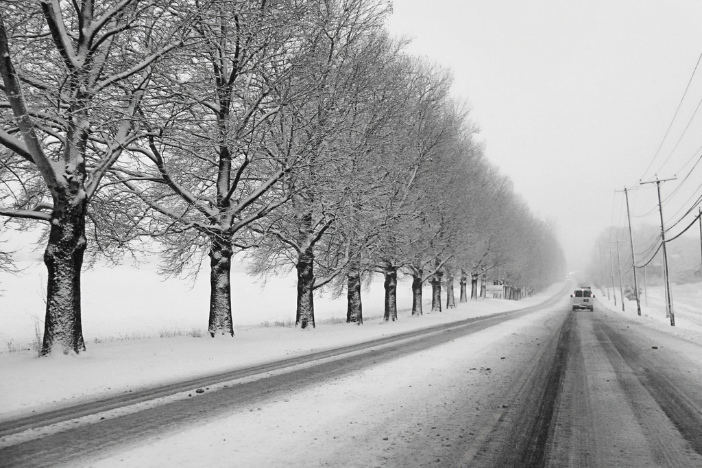 A Snowy Drive by digitalrn