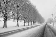3rd Feb 2014 - A Snowy Drive