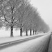 A Snowy Drive by digitalrn