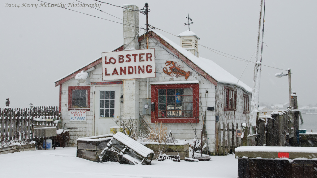 Snowy Lobster Shack by mccarth1