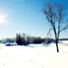 winter by edie