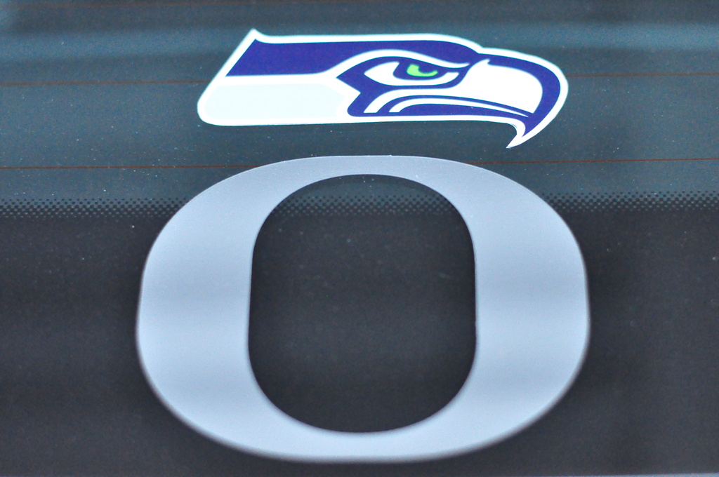 This Is What An Oregon Seahawk Looks Like by mamabec