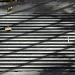 Lines & shadows by parisouailleurs