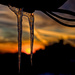 Icicles in the Sunset by taffy
