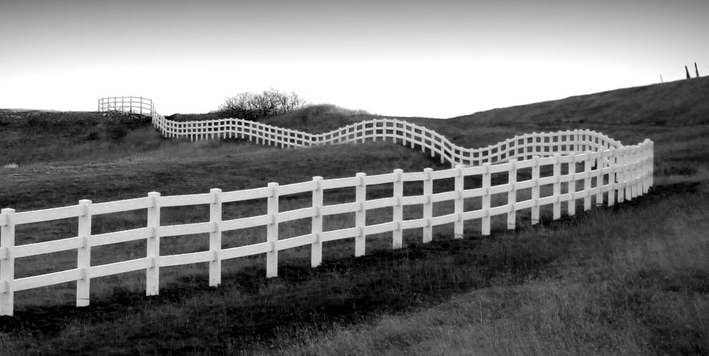 Fence by rlaughy