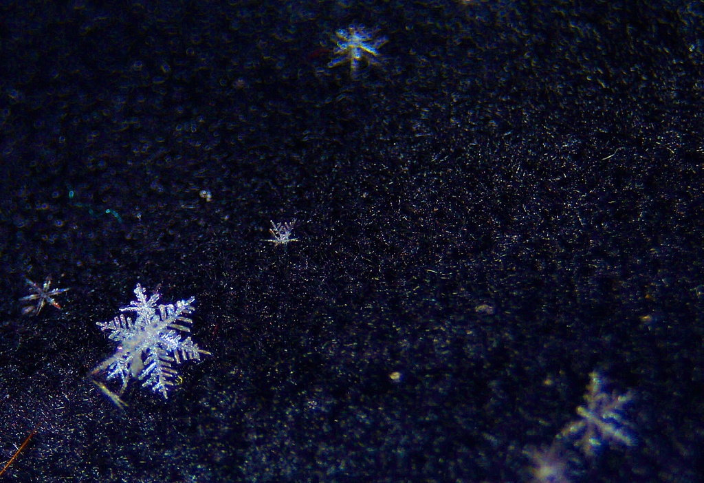 another snowflake attempt by dmdfday